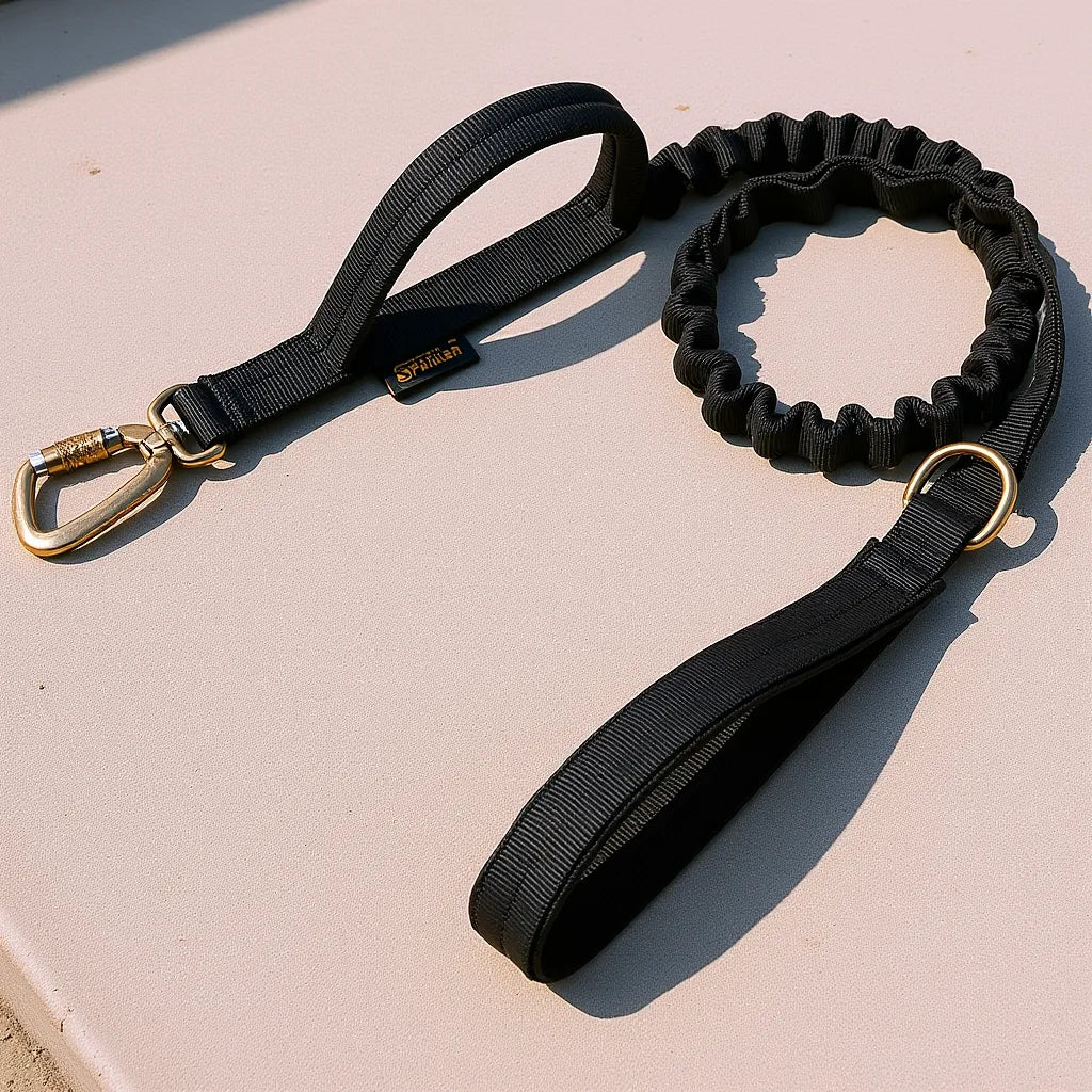 Black rope lead and collar set on a concrete step