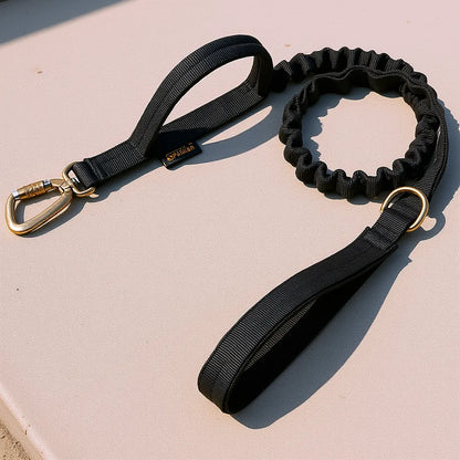Black rope lead and collar set on a concrete step