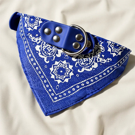 Blue paisley bandana collar on linen